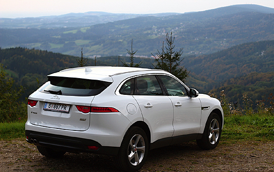 fpace2