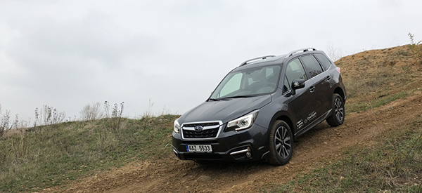 forester2