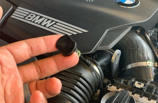 hlavna