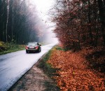 way-3834319_1280