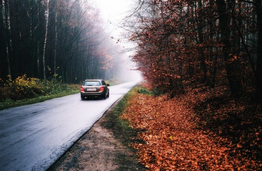way-3834319_1280