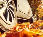 drivingoverleaves_b