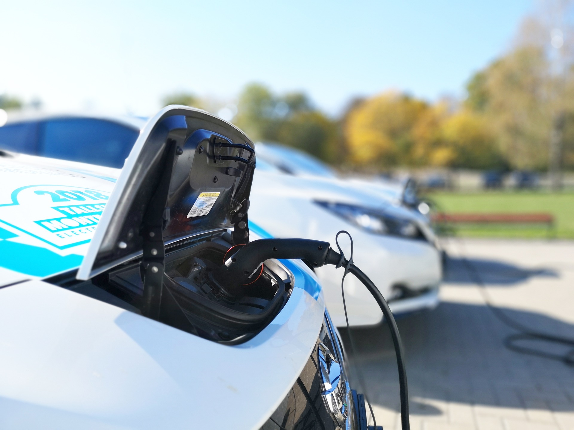 electric-1