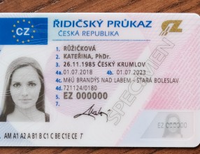 ridicak