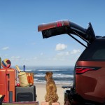 discovery_accsessory_pack_beach_days
