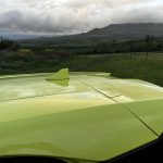 byd-dolphin-surf-test-2026-2