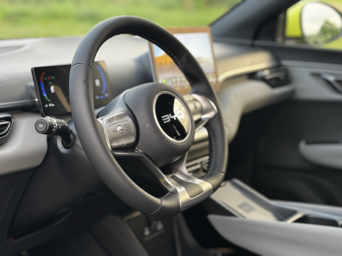 byd-dolphin-surf-test-2026-9