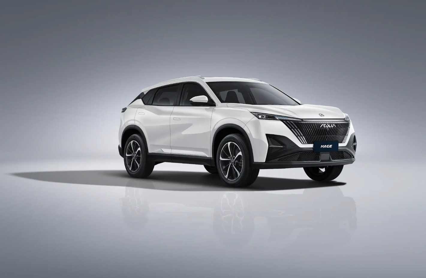 dongfeng-mage-4